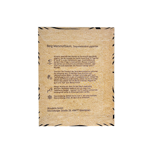 Mammutbaum Pflananleitung