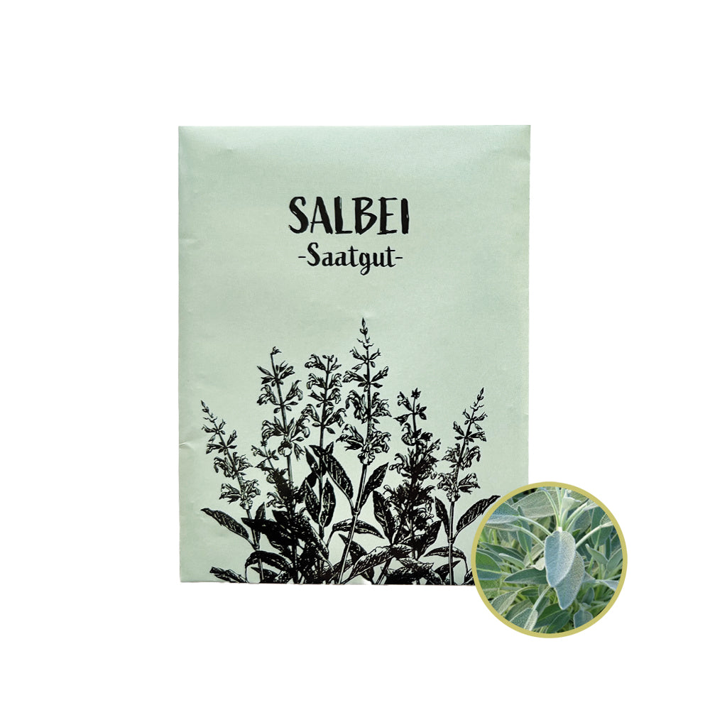 Salbei Samen: Aromatischer Salbei für deinen Garten