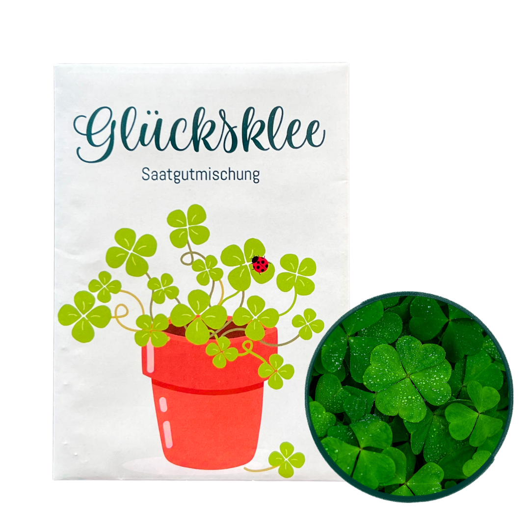 glücksklee düngen Glücksklee Samen für andauerndes Glück