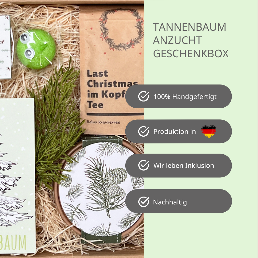 Christbaum Anzucht Geschenk Box