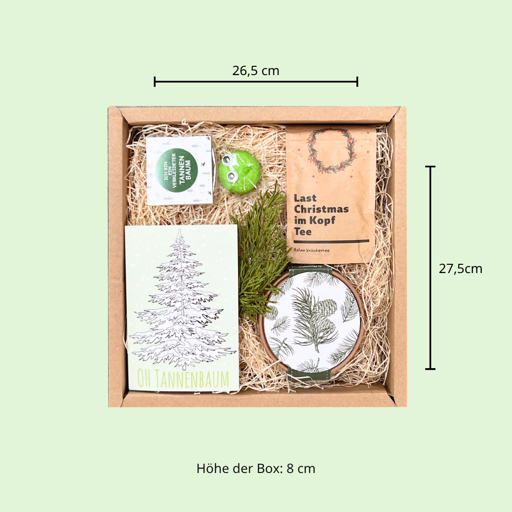 Christbaum Anzucht Geschenk Box