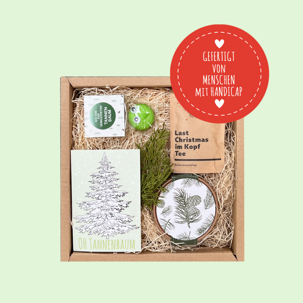 Christbaum Anzucht Geschenk Box