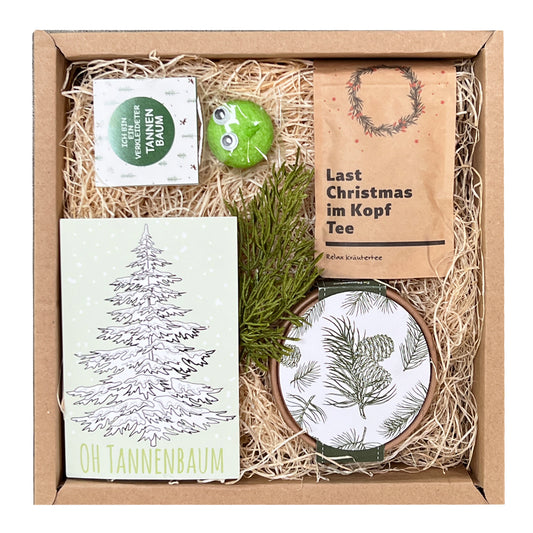 Christbaum Anzucht Set Geschenkbox
