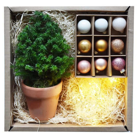 WOW Box Mini Weihnachtsbaum Geschenk Box