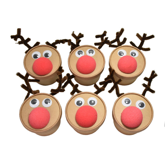 Weihnachtsgeschenke basteln leicht gemacht: Das Bastelset Hirschdosen