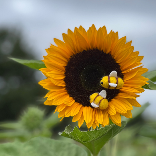Filzbiene Bienen Deko , handgemacht