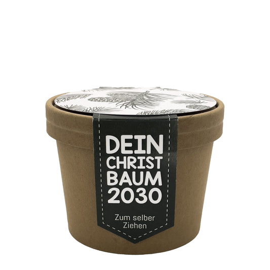 Dein Christbaum 2030 Anzuchtset