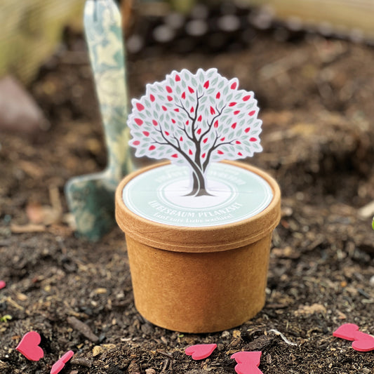 Liebesbaum Anzuchtset zur Hochzeit