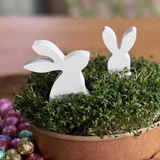 Kressebeet mit Osterhasen