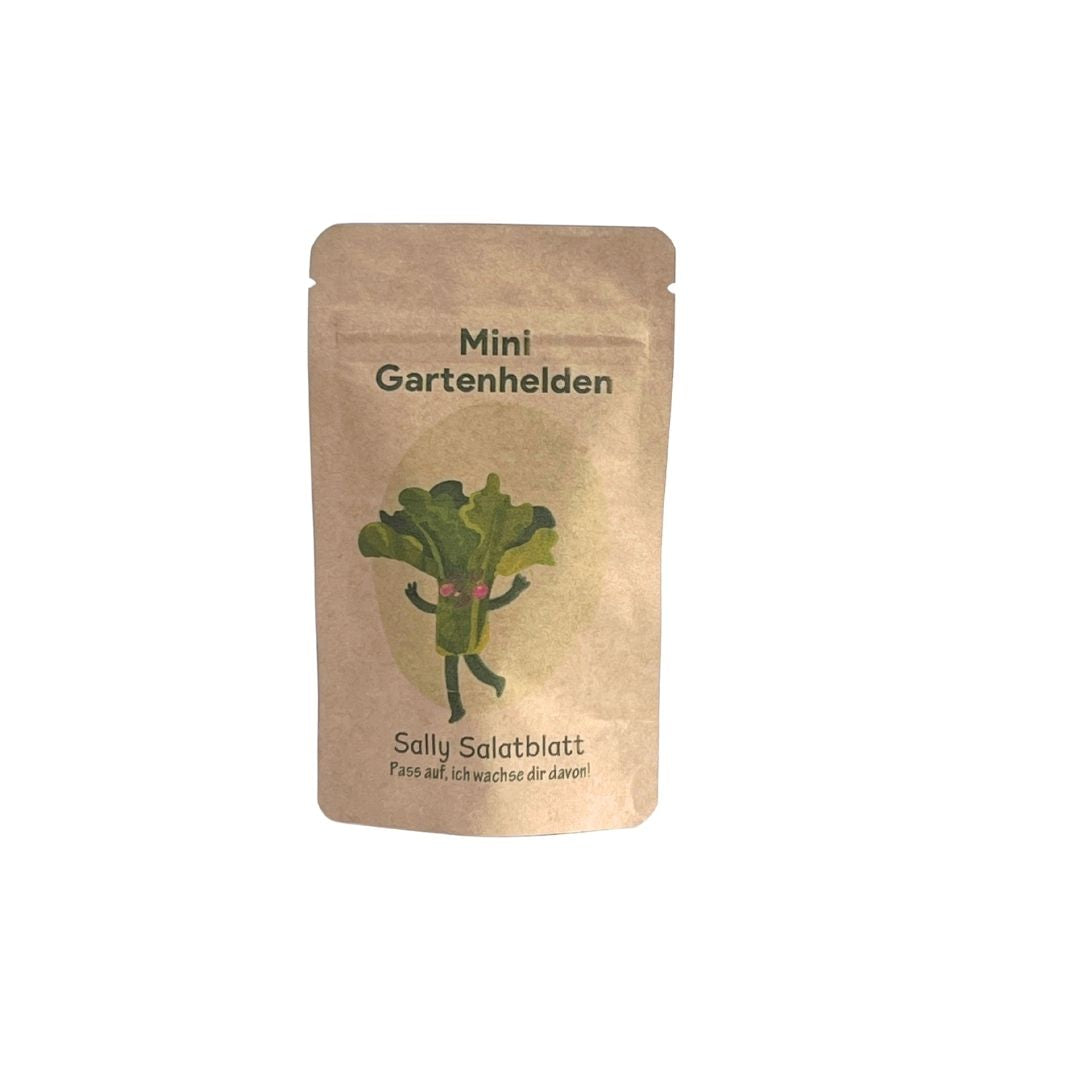 pflücksalat aussaat set für Kinder