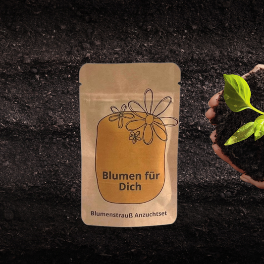 Blumen für Dich Anzuchtset, ein Blumenstrauß, der wächst