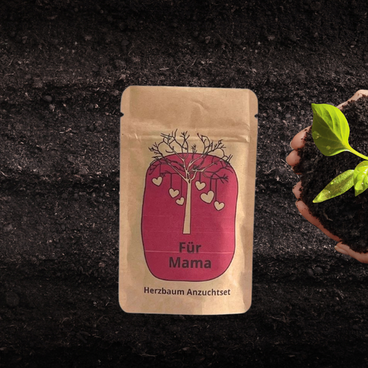 Für Mama Anzuchset für einen Herzbaum
