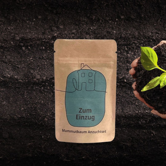 Anpflanzset zum Einzug