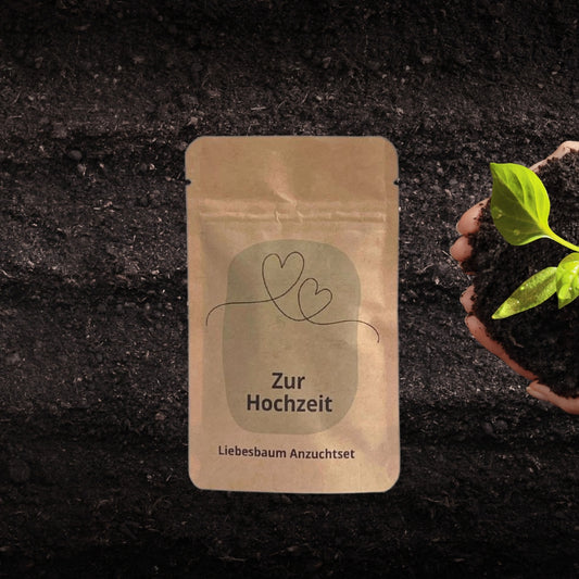 Anzuchtset Liebesbaum Mitbringsel zum Polterabend