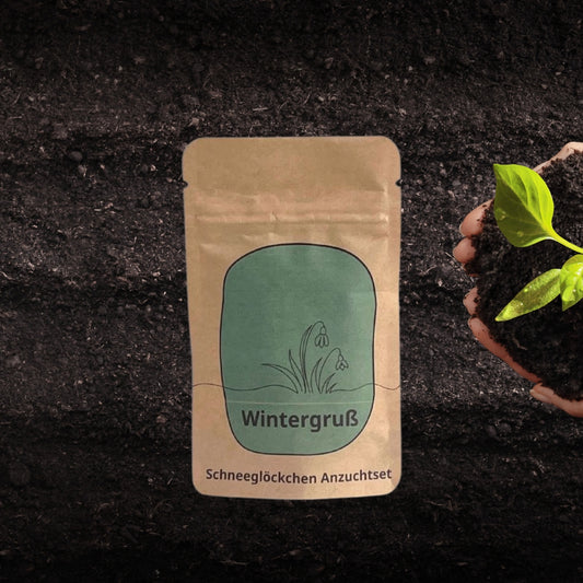 Anzuchtbeute mit Wintergruß Aufdruck in grün mit Schneeglöckchen