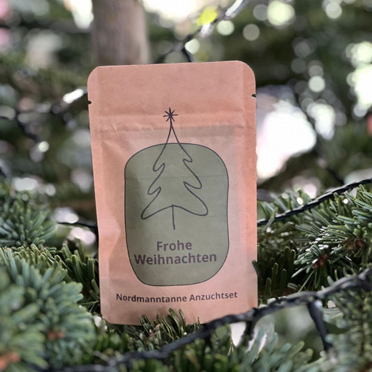 Anzuchtset in brauner Tüte mit Aufdruck Frohe Weihnachten