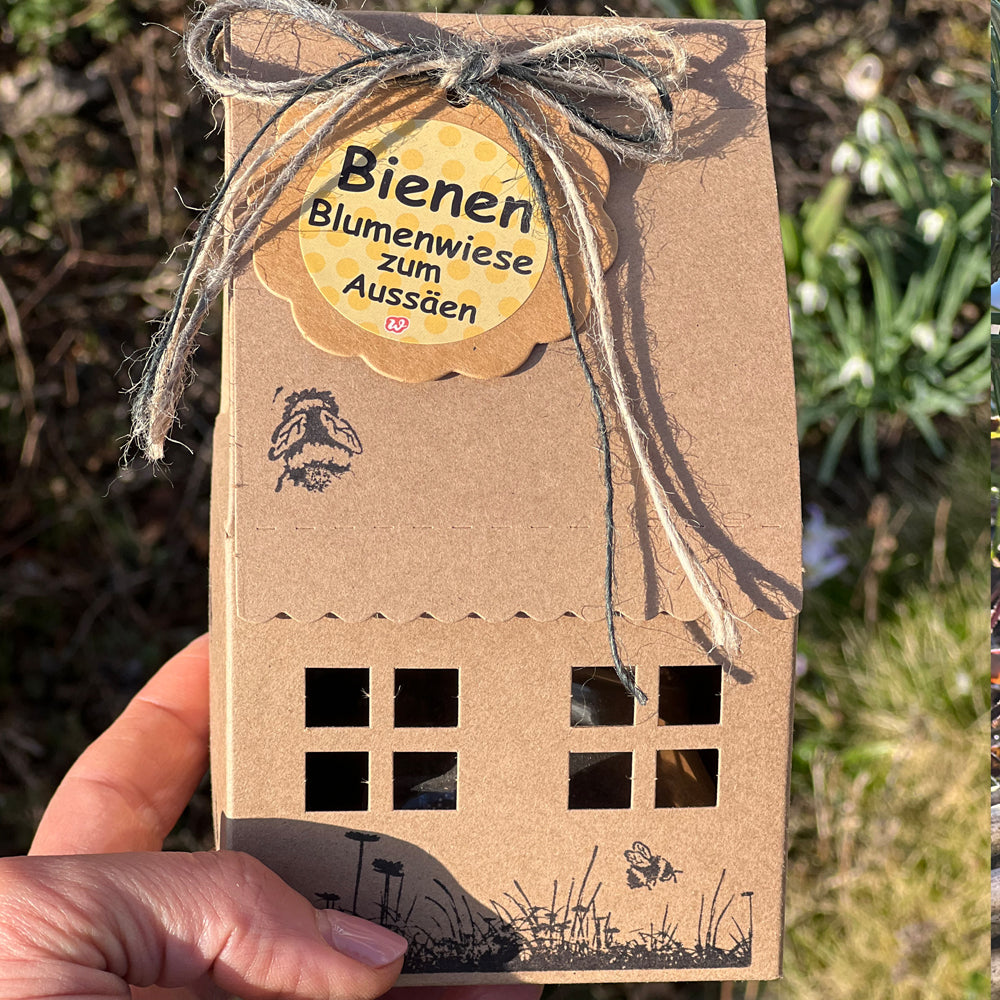 Bienen Blumenwiese Haus: Ein Zuhause für unsere summenden Freunde!