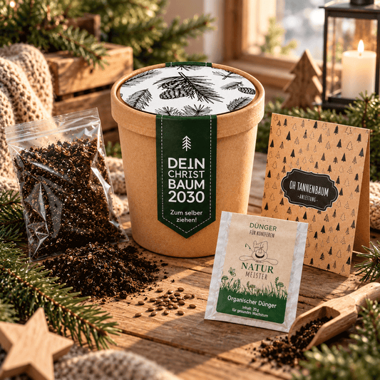 Tannenbaum Anzucht Set