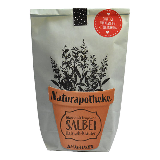 DIY Naturapotheke - Salbei-Tee Hustenruh Tee zum anpflanzen
