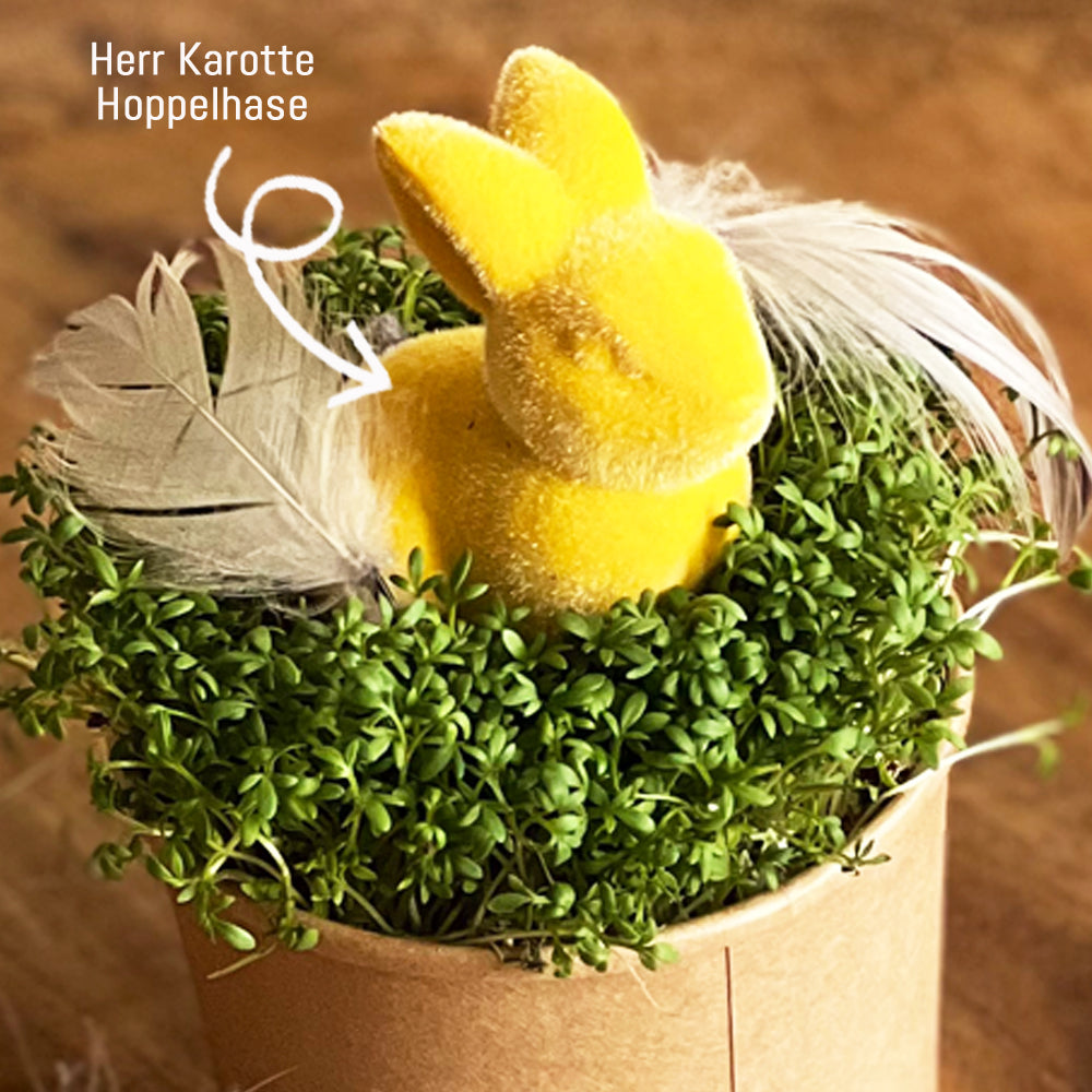 Herr Karotte Hoppelhase im Kressenest