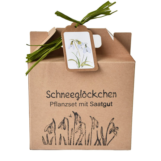 Garten Geschenke zu Weihnachten- Schneeglöckchen Anzuchtset