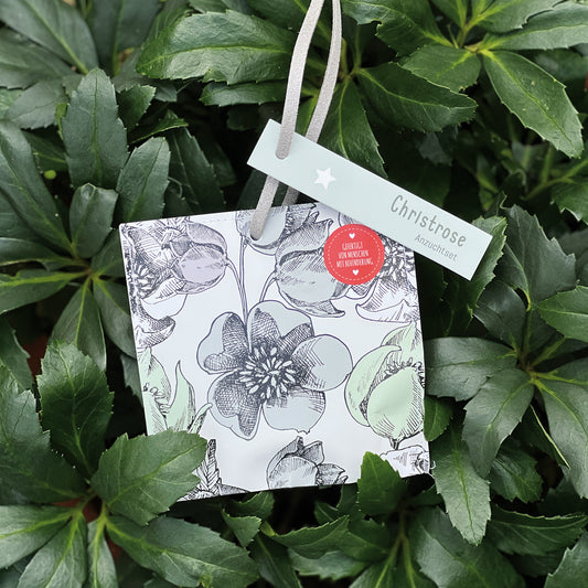 Christrosen Saatgut Anhänger