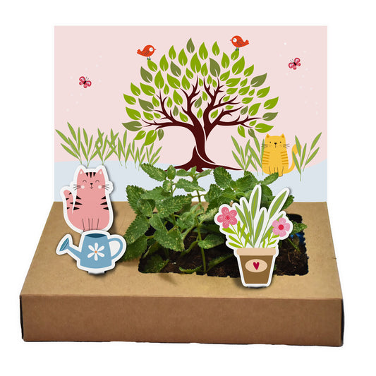 Pflanzen für Katzen – Der Mini-Garten Katzenminze für deinen Liebling