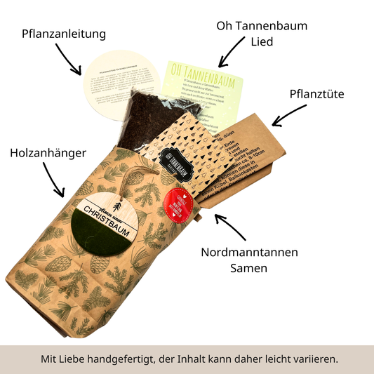 Tannenbaum Anpflanz Set mit Saatgut