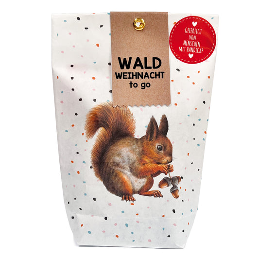 Winterdeko Wundertüte mit Eichhörnchen