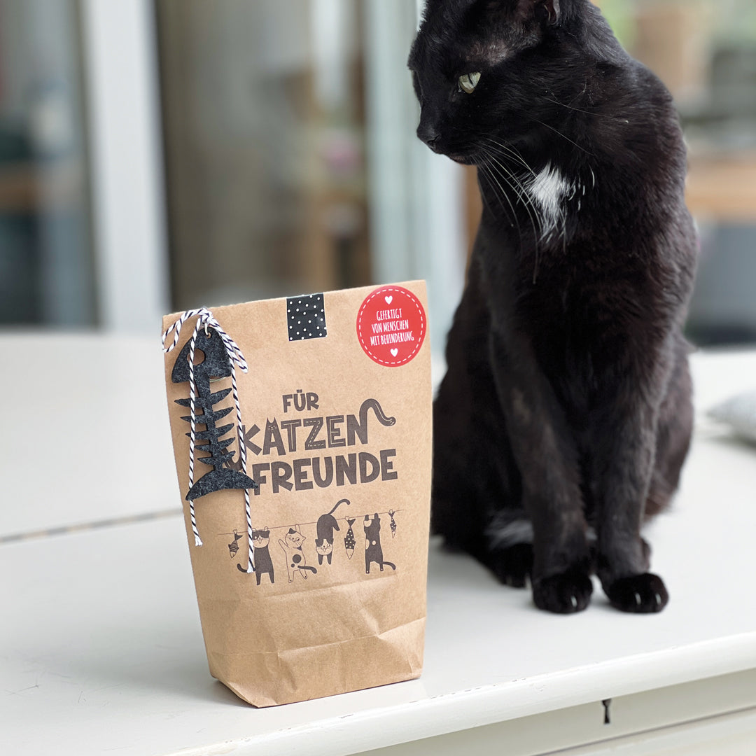 Katzenfreunde Wundertüte - da staunen nicht nur Katzen