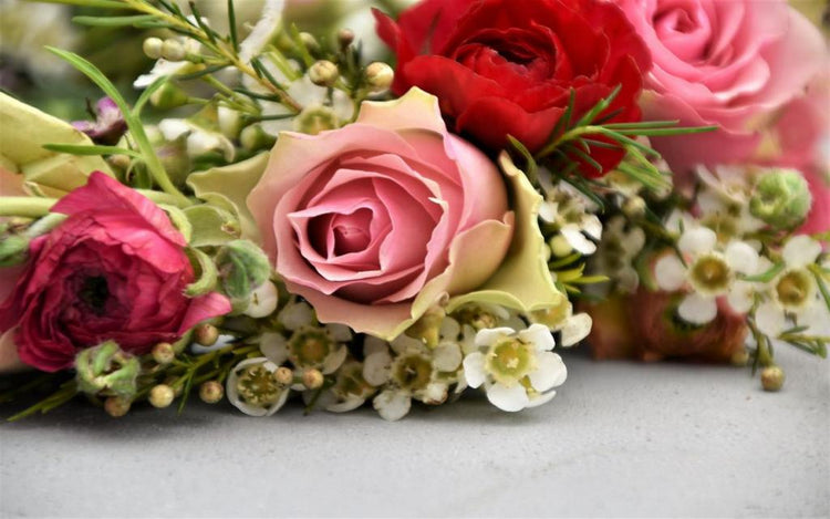 Frühlingsvergnügt…eine Liebeserklärung!