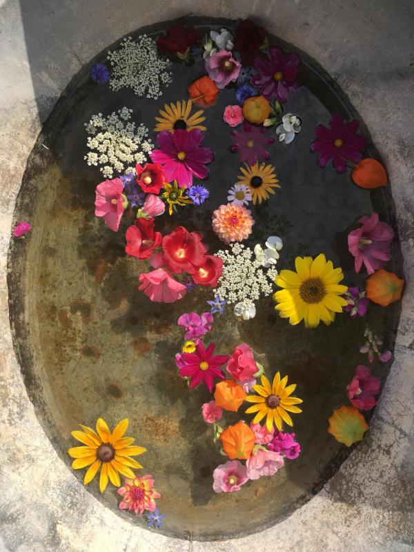 Hygge – Das perfekte Ferienprojekt: Ein Insektenhotel