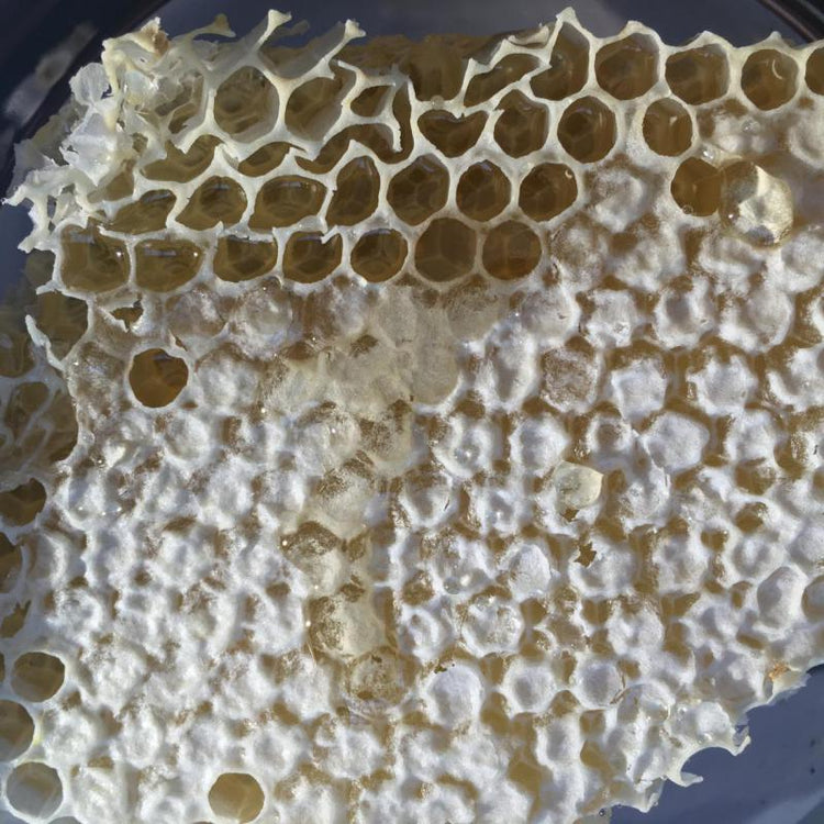 Bee Happy – der nächste Sommer kommt bestimmt! Summende und blühende Geschenke