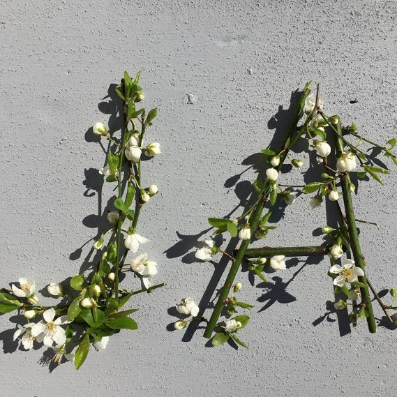 Osterdekoration: Kreative Ideen für eine Osterüberraschung