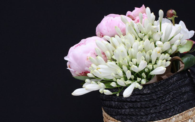 Von Pfingstrosen, Morgenmusik und den Tag versüssenden Leckereien…