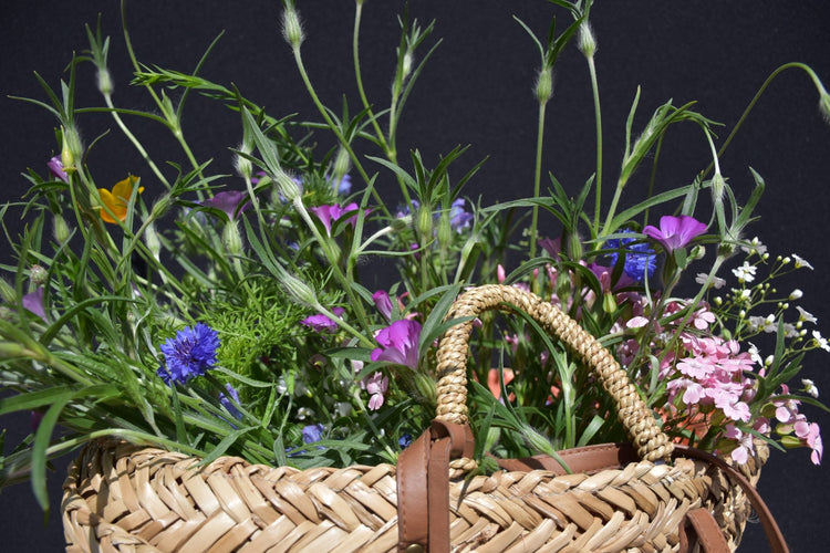 Midsommarinspirationen – Mehr als 1000 gute Gründe, den Sommer zu feiern