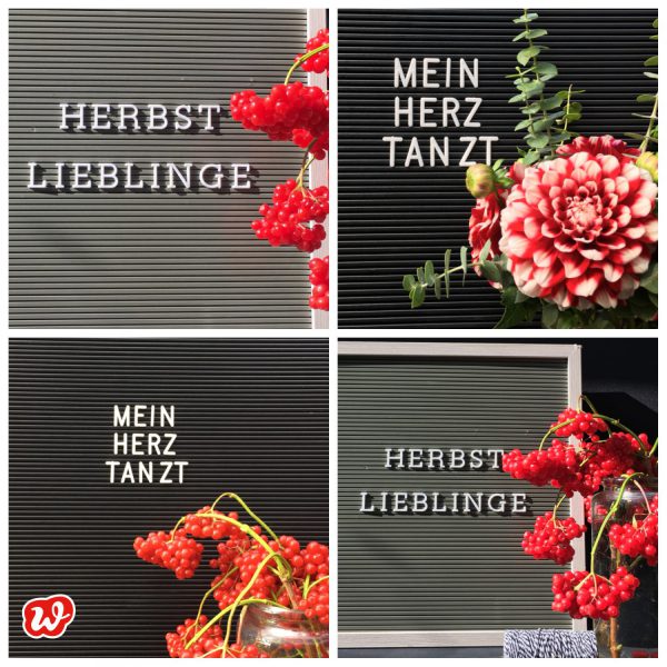 Herbstlieblinge – DIY Bunte Blätter