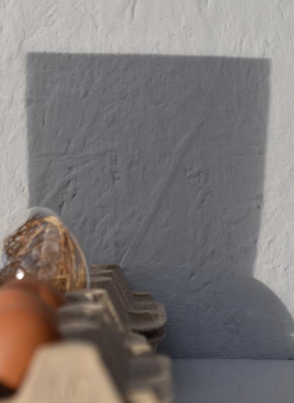 Ostern im Anflug. Auf die Hasen: Allez hop!