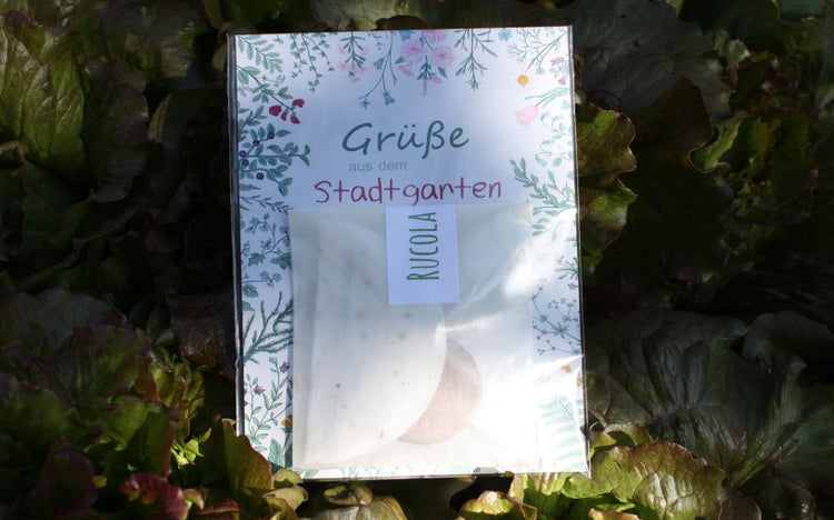 Grüsse aus dem Stadtgarten! Unser WUNDERLE der Woche