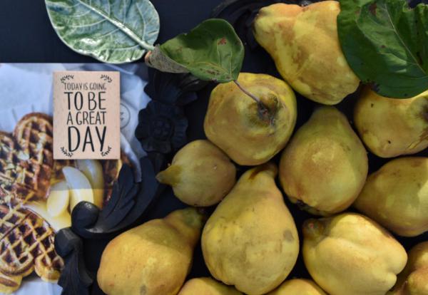 Cosy, hyggelig, gemütlich – Hurra, Kuschelzeit!