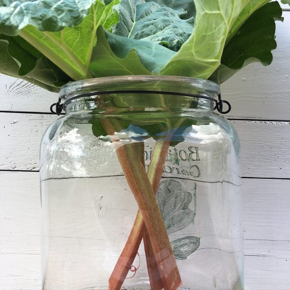 Rezepte mit Rhabarber: Sirup, Kompott und Baiser-Kuchen für den Frühling