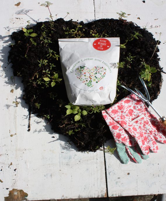 Blumensamen als besondere Geschenkidee: Lasse die Liebe blühen