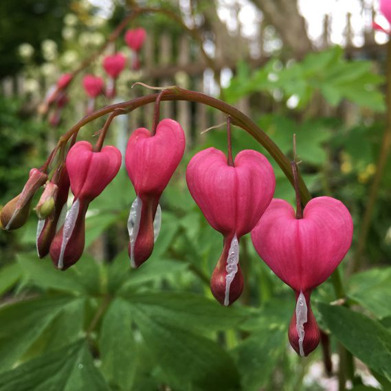 Bastel dir deinen Mann – Lieblingsstück der Woche!