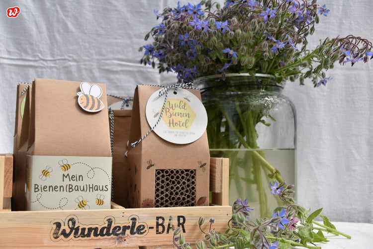 Bienen retten leicht gemacht – Wunder für kleine und große Retter & Borretsch: ein Gaumen- & Augenschmaus