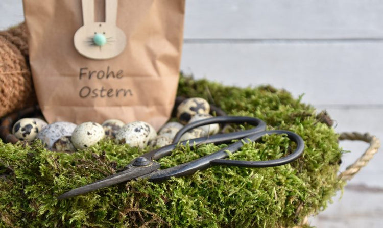 Ostern fällt aus? – Ostervorbereitungen & Cocooning