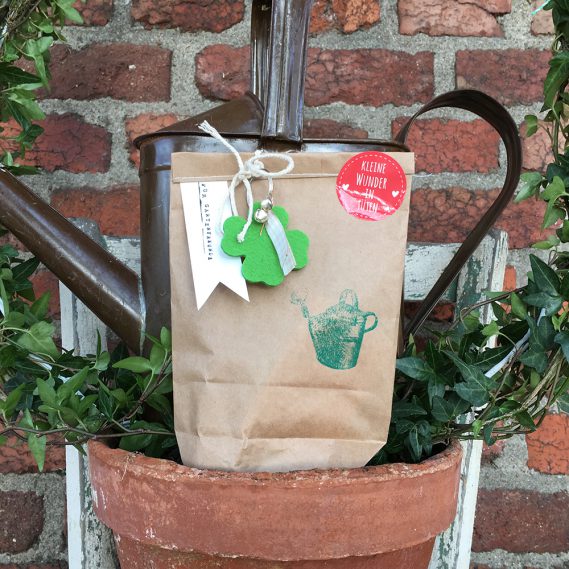 Frühlingshafte Gartenideen: Unsere Wundertüte für Gartenfreunde und blühende Inspirationen