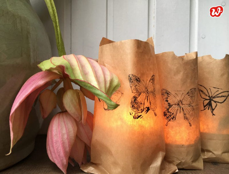 DIY Lichterzauber und kleine Wunderlenews