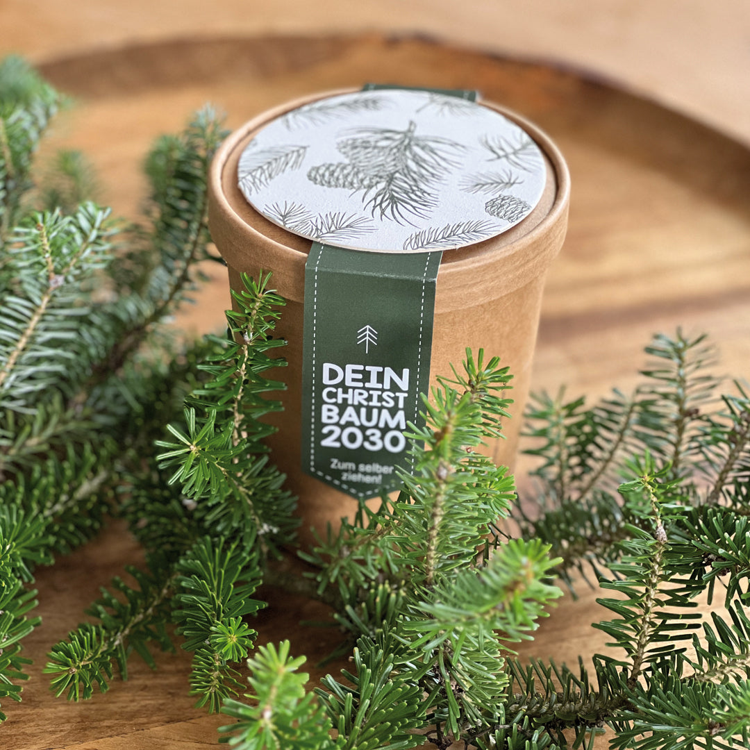 TOP 10 Weihnachtsgeschenk Ideen für Männer