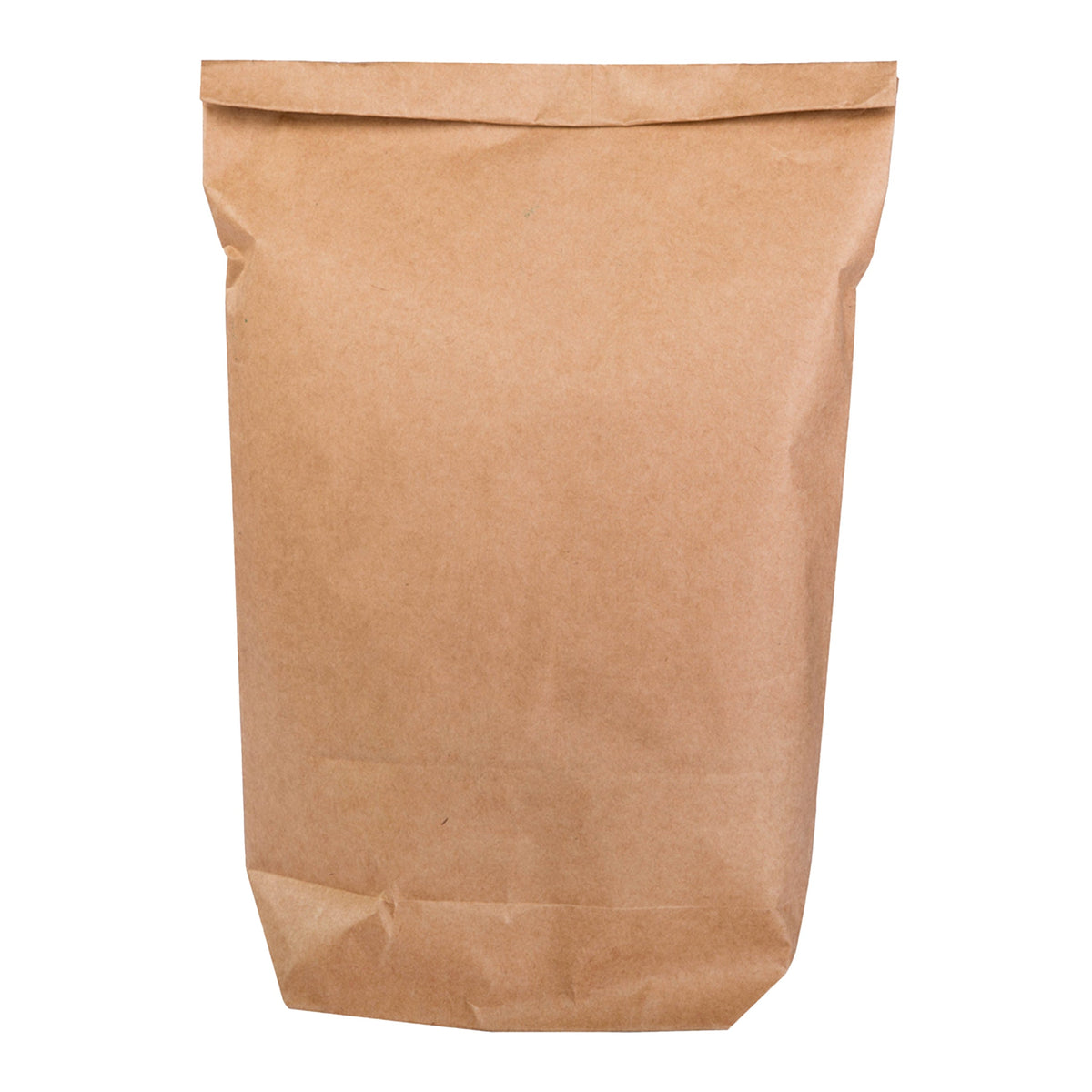 Papiertüten aus Kraftpapier 25er Set zum selber Befüllen
