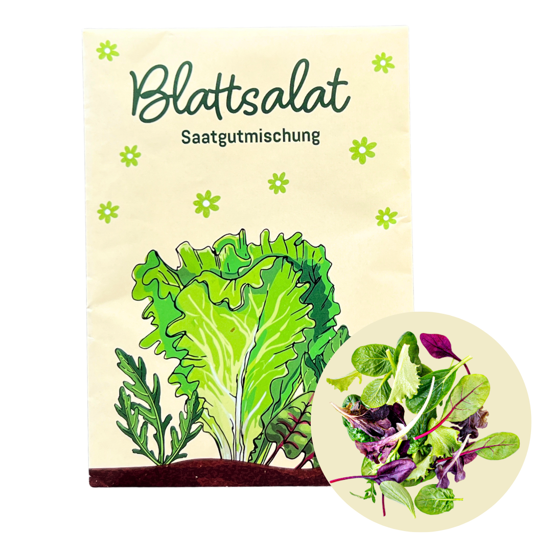 Blattsalat Mischung fürs Beet